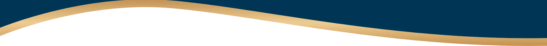 Element graphique fond bleu Numissima, achat et vente d'or et argent à Angoulême et Bordeaux