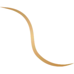 Ligne élément graphique dorée Numissima