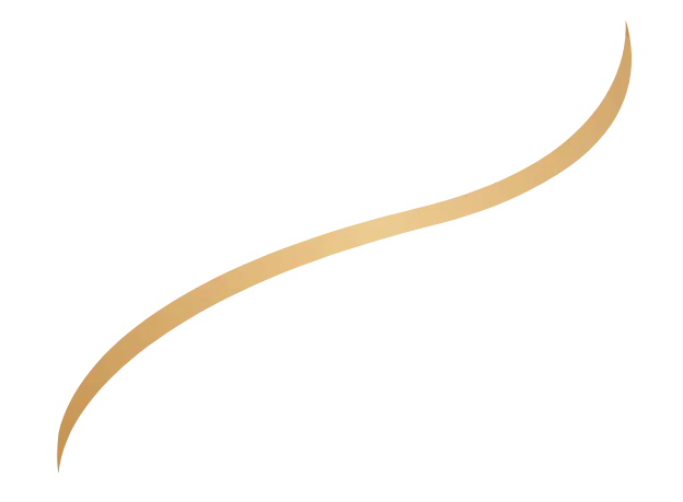 Ligne élément graphique dorée Numissima