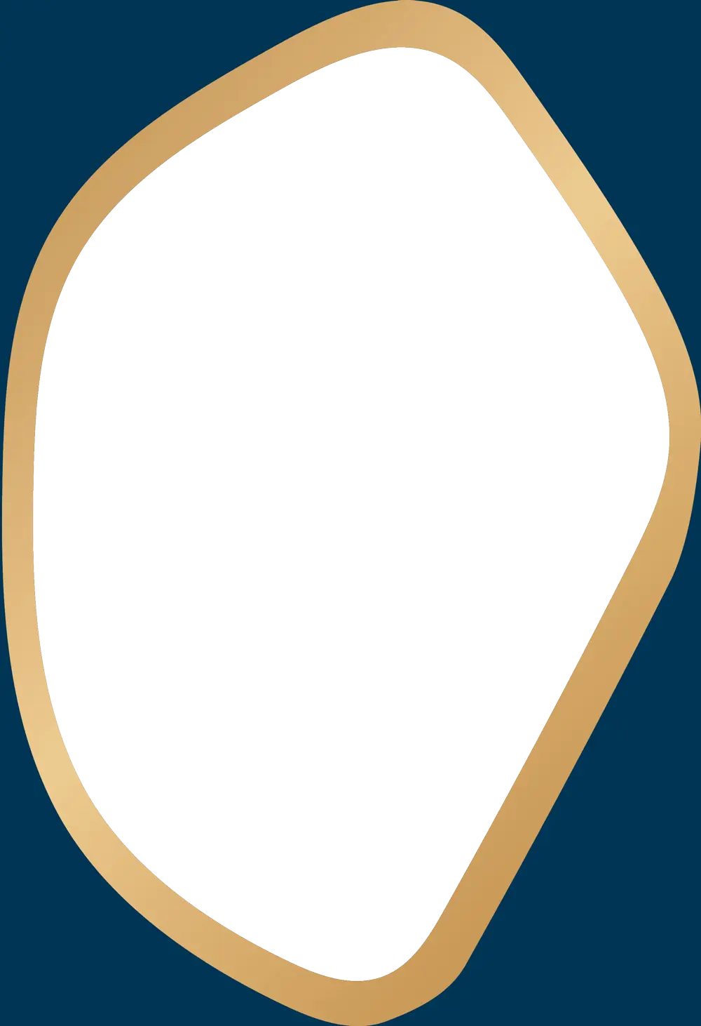 Element graphique contour bleu bordure dorée Numissima, achat et vente d'or et argent à Angoulême et Bordeaux
